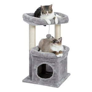 PAWZ Road Lbg^[ ~j L^[ ^ Ⴂ  u lC ܂Ƃ|[ ܌ R L̂ RpNg ȃXy[X  S LnEX W] - 68cm O[