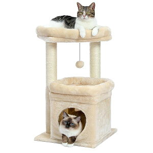 PAWZ Road Lbg^[ ~j L^[ ^ Ⴂ  u lC ܂Ƃ|[ ܌ R L̂ RpNg ȃXy[X  S LnEX W] - 68cm x[W