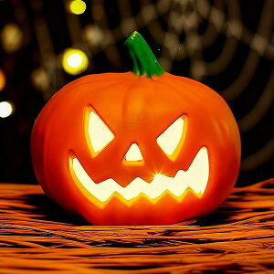 �n���E�B�� �p���v�L�� ���� �J�{�`�� LED���C�g �����^�� �d�r�� �u�� �I�u�W�F ����t�� �O