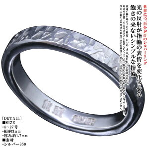 w Y Vv    Ė Ȗ O 3mm Vo[ Ɩ YO  4`27