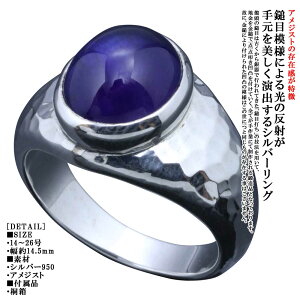 w Y Vv   Ȗ O AWXg Vo[ Ɩ @ YO 14`26