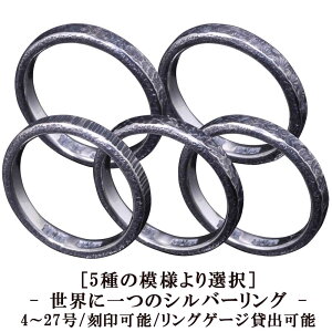 w Y Vv  Ȗ Ɩ Vo[O 3mm e Vo[ YO    4`27