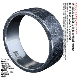 w Y Vv    Ė Ȗ O 8mm Vo[ Ɩ YO  4`27