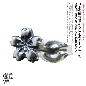 sAX Y  sAX Vo[ 1 VO Ў Ўp   TN SAKURA {  a a CO nhCh jp  Mtg v[g