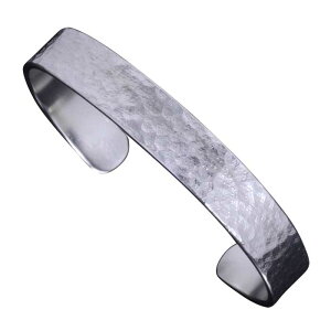  Vo[oO  Ί Ȗ oO 10mm Vo[ Vv a a Ɩ nhCh Y fB[X jp p  yA Mtg v[g jZbN