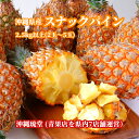 【送料無料・即発送可】沖縄県産スナックパイン2.5kg以上(2玉〜5玉)ちぎって食べる パイン パイナップル ボゴール種 …