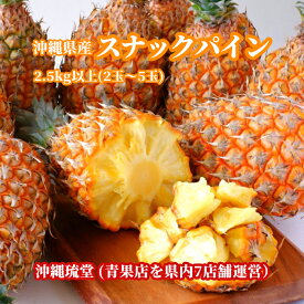 楽天市場 スナックパインの通販