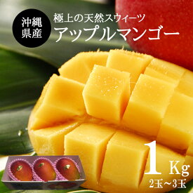 【送料無料】【お中元】沖縄産アップルマンゴー1kg (2玉〜3玉)贈答用 ギフト