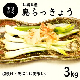 【送料無料・即発送可】沖縄県産 島らっきょう3kg(土付き)食べ方説明書付き国産 ラッキョウ らっきょう