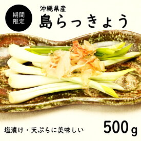 【送料無料・即発送可】沖縄県産 島らっきょう500g(土付き)食べ方説明書付き国産 ラッキョウ らっきょう