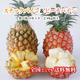 楽天市場 スナックパインの通販