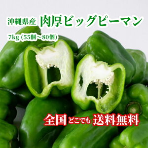 �y���������E�������z���ꌧ�Y �����r�b�O�s�[�}��7kg(55�`80��)���Y �s�[�}�� �V�N����