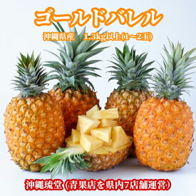 楽天市場 パイナップル 生産国日本 フルーツ 果物 食品 の通販