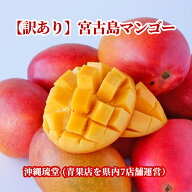 【訳あり】宮古島アップルマンゴー2〜3玉(600g以上)【即発送可・送料無料】国産 沖縄 宮古島 訳あり マン…
