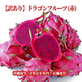 楽天市場 ドラゴンフルーツの通販