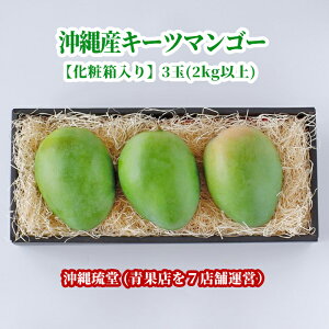 沖縄県産 マンゴーの人気商品 通販 価格比較 価格 Com 沖縄県産 マンゴーの人気商品 通販 価格比較 価格 Com