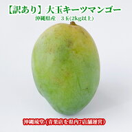 沖縄県産【訳あり】大玉キーツマンゴー(幻のマンゴー) 3玉(2kg以上)【即発送可・送料無料】 新鮮直送