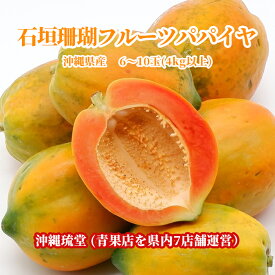 【送料無料・即出荷可】沖縄県産 石垣珊瑚フルーツパパイヤ 6〜10玉(4kg以上)無添加 沖縄 フルーツ ギフト 贈答品 内祝い お中元 お歳暮 熨斗 対応 新鮮直送
