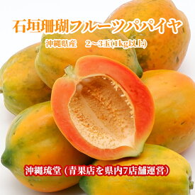 【送料無料・即出荷可】沖縄県産 石垣珊瑚フルーツパパイヤ 2〜3玉(1kg以上)石垣珊瑚 無添加 沖縄 フルーツ ギフト 贈答品 内祝い お中元 お歳暮 熨斗 対応 新鮮直送