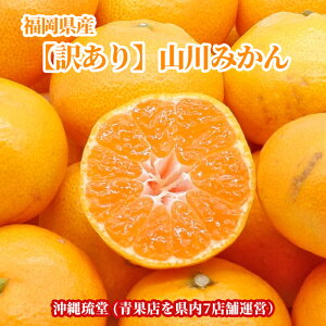 y󂠂zY R݂ }Ch130 5kgyEzymlm镟̃uh݂z ①