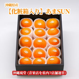 ySEϔzꌧY ܂(SUN) 2kg(8`13)y~GoׁzΕ p ݂ k ʕ  t[c Mtg i j l Ή@VN