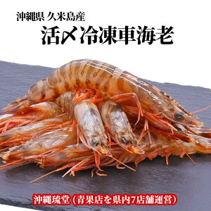 ySzꌧvēY ^󊈁YⓀԊCV 500gϔ×2(120`282)gԊCV𑦐^pbNA}CiX30uԓBŐHׂԃGrI蕨EMtg