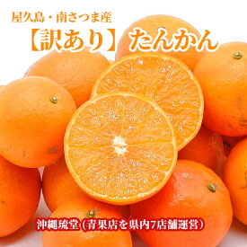 【全国送料無料】屋久島・南さつま産【訳あり】たんかん3kg【冬季限定出荷】柑橘類の王様 爽やかな香りとジューシーな果汁で人気 3月頃までの冬季限定出荷