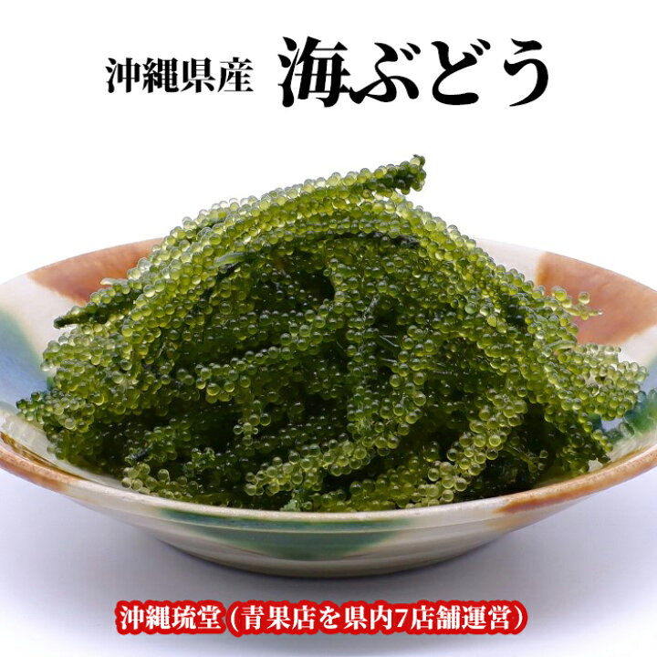 楽天市場】【全国送料無料】沖縄県産 大粒・生 海ぶどう【大容量 