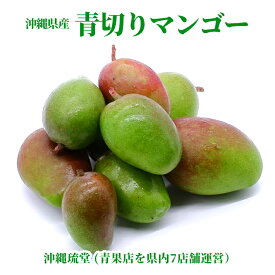 沖縄県産 青切(摘果)マンゴー【即発送可・送料無料】 新鮮直送