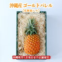 【ギフト最大限対応・全国送料無料】沖縄県産大玉ゴールドバレル (国産最高級パイナップル) 1玉化粧箱(1玉1.6〜2.2kg)…