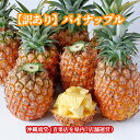 【送料無料・即発送可】沖縄県産【訳あり】パイナップル(パインアップル) 8kg以上(8〜10玉)パイン パイナップル 沖縄 …