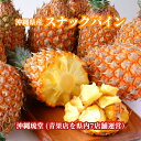 【全国送料無料】沖縄県産スナックパイン1.6kg以上(2玉〜3玉)ちぎって食べる パイン パイナップル ボゴール種 沖縄 フ…