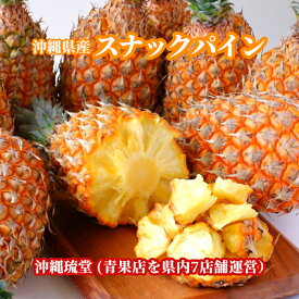 【全国送料無料】沖縄県産スナックパイン1.6kg以上(2玉〜3玉)ちぎって食べる パイン パイナップル ボゴール種 沖縄 フルーツ 果物 盛り合わせ お中元 お歳暮 ギフト 贈り物 父の日 母の日 出産祝 手土産 結婚祝 プチギフト 新鮮直送