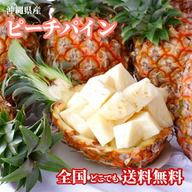 【即発送可・送料無料】沖縄県産ピーチパイン1.6kg以上(2玉〜3玉)桃の香り パイナップル ソフトタッチ種 無添加 沖縄 フルーツ 果物 盛り合わせ お中元 お歳暮 ギフト 贈り物 父の日 母の日 出産祝 手土産 結婚祝 プチギフト 新鮮直送