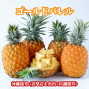 【ランク1位獲得！】沖縄県産ゴールドバレル (国産最高級パイナップル) 1.3kg以上(1〜2玉)【送料無料・即出荷可】パイ…