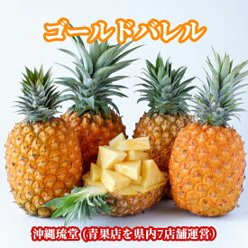 【ランク1位 二冠を獲得！】沖縄県産ゴールドバレル (国産最高級パイナップル) 2.2kg以上(1〜3玉)【送料無料・即出荷可】パイン パイナップル お中元 お歳暮 ギフト 贈り物 父の日 母の日 出産祝結婚祝 新鮮直送