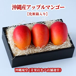 �y�M�t�g�ő���Ή��E���ϔ�����z����Y�A�b�v���}���S�[3��(1kg�ȏ�)�y�������E���������z����p ���蕨 �M�t�g ���l �̂� ���a���� ������ �䒆�� ��Ε� ��N�� ��j ���j ���w�j ����