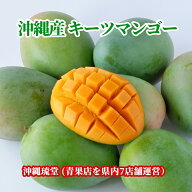 【ランク1位獲得！】沖縄県産キーツマンゴー(幻のマンゴー) 2玉(1.2kg以上)【即発送可・送料無料】 お中…