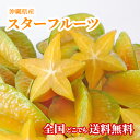 【送料無料・即発送可】沖縄県産スターフルーツ2kg（8〜14玉）星の形 無添加 沖縄 フルーツ ギフト 贈答品 内祝い お中元 お歳暮 熨斗 対応　新鮮直送