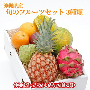 【全国送料無料】沖縄県産 旬のフルーツ詰め合わせセット3種類【化粧箱入り・ギフト最大限対応・好評の各フルーツ食べ方説明書付き】フルーツ 果物 盛り合わせ お中元 お歳暮 ギフト 贈