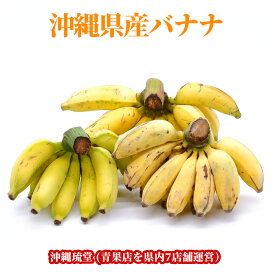 【全国送料無料】沖縄県産バナナ (3種類の中から厳選したバナナをお届け)フルーツ 果物 お中元 お歳暮 ギフト 贈り物 父の日 母の日 出産祝 手土産 結婚祝 プチギフト