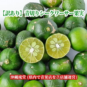 y󂠂zꌧY ؂V[N[T[ʎ2.5kgyEz Y t[c V[NA[T[ V[N@T[VN