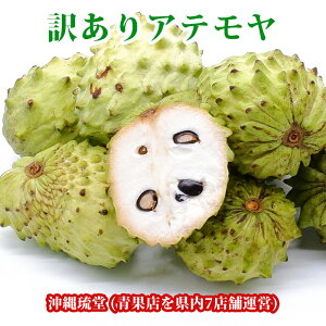 ySzYE^_Yy󂠂zAe yX̃ACXN[zJX^|hAbv `F oCV(߉ޓ) Y  t[c VN