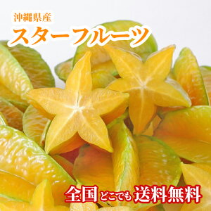 yEzꌧYX^[t[c1kgi4`9ʁǰ` Y  t[c Mtg i j  Ε l Ή@VN