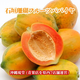 【送料無料・即出荷可】沖縄県産 石垣珊瑚フルーツパパイヤ 3〜5玉(2kg以上)石垣珊瑚 無添加 沖縄 フルーツ ギフト 贈答品 内祝い お中元 お歳暮 熨斗 対応 新鮮直送