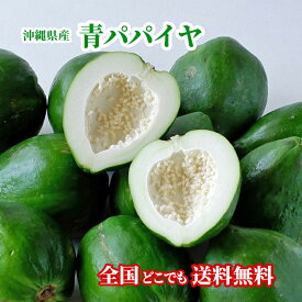 【送料無料・即発送可】沖縄県産 青パパイヤ10kg(12玉〜20玉)国産 パパイヤ 野菜パパイヤ グリーンパパイヤ　新鮮直送