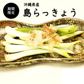 【送料無料・即発送可】沖縄県産 島らっきょう1kg(土付き)食べ方説明書付き国産 ラッキョウ らっきょう 新鮮直送