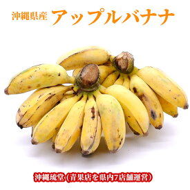 【即発送可・送料無料】沖縄県産アップルバナナフルーツ 果物 お中元 お歳暮 ギフト 贈り物 父の日 母の日 出産祝 手土産 結婚祝 プチギフト
