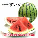 【ランク1位獲得！全国送料無料】沖縄県産すいか1玉 (3.2kg以上)国産 スイカ プレゼント ギフト 内祝い 無添加 沖縄 …