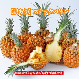 沖縄県産【訳あり】スナックパイン8kg以上(16玉〜24玉)【送料無料・即発送可】ちぎって食べる パイン パイナップル ボゴール種 沖縄 フルーツ 新鮮直送